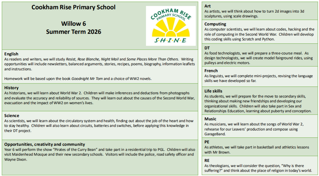 curriculum overview decorative image